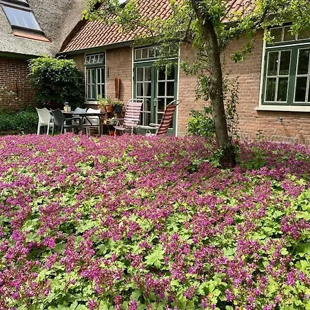 In With Swimming Pool Vakantiehuis